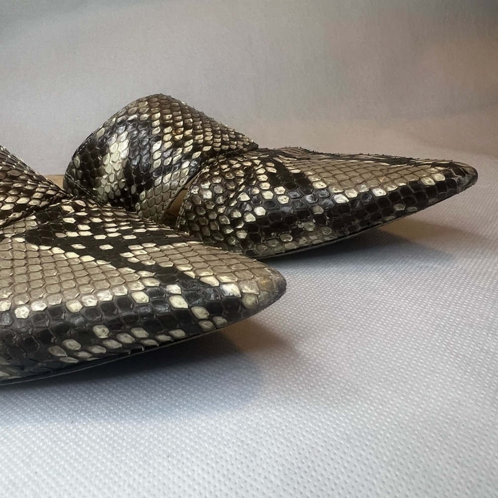 Alexandre Birman Python Snakeskin Pointed Toe Mul… - image 4